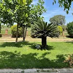 Mama's Sunshine Garden * Agios Ilias (Elis)