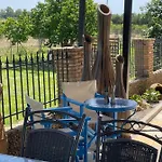 Mama's Sunshine Garden