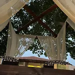 Mama's Sunshine Garden *