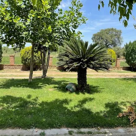 Mama’s Sunshine Garden * Agios Ilias (Elis)