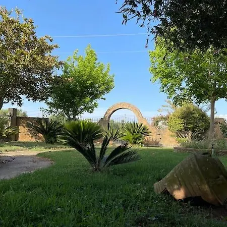 Mama's Sunshine Garden