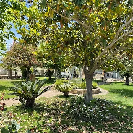 Villa Mama's Sunshine Garden