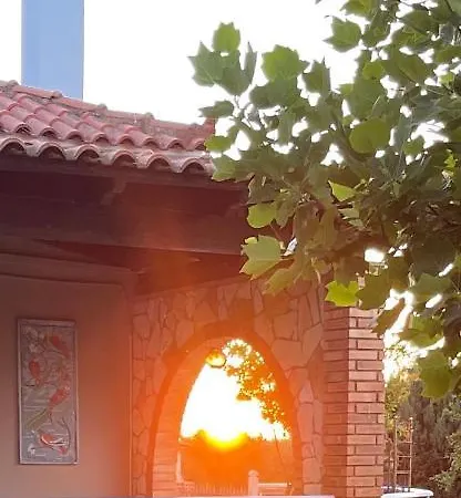 Mama's Sunshine Garden
