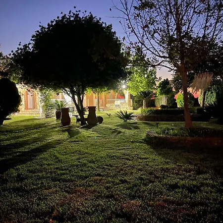 Mama's Sunshine Garden *