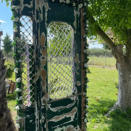 Villa Mama's Sunshine Garden