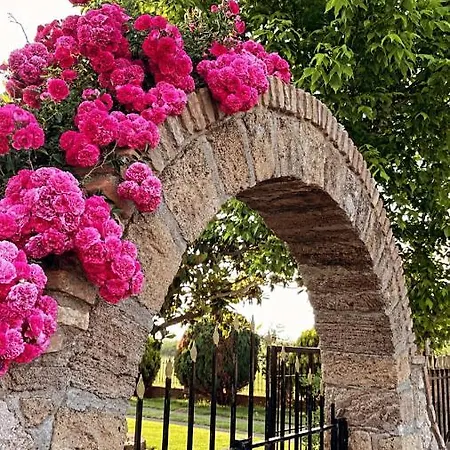 Mama's Sunshine Garden Villa *