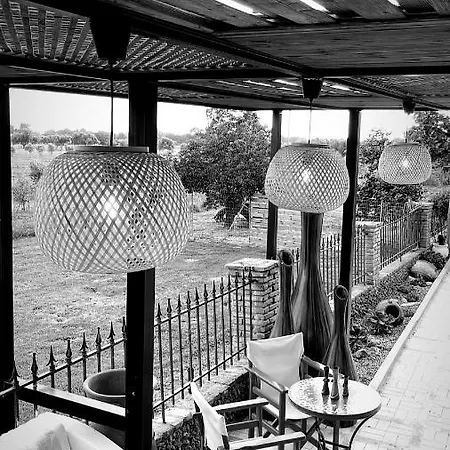 Villa Mama's Sunshine Garden Agios Ilias (Elis)