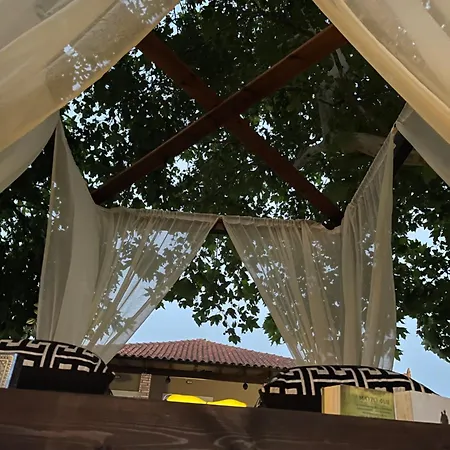 Mama's Sunshine Garden *