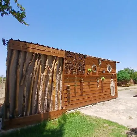 Mama's Sunshine Garden *