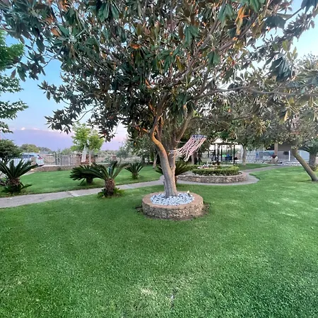 Mama's Sunshine Garden Άγιος Ηλίας