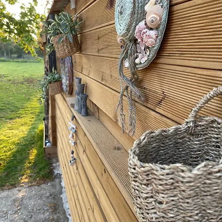 Mama's Sunshine Garden *