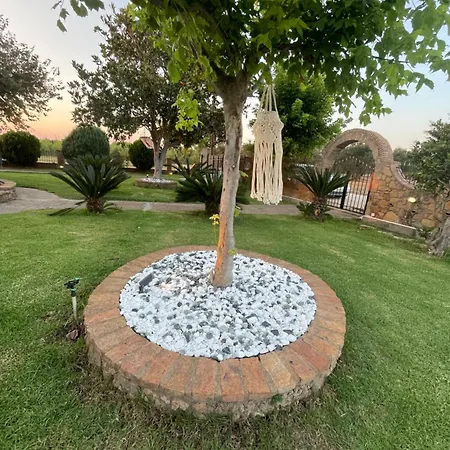 Mama's Sunshine Garden