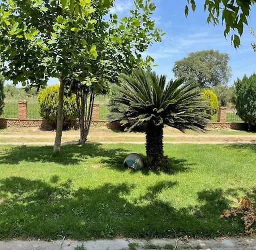 Mama's Sunshine Garden * Άγιος Ηλίας