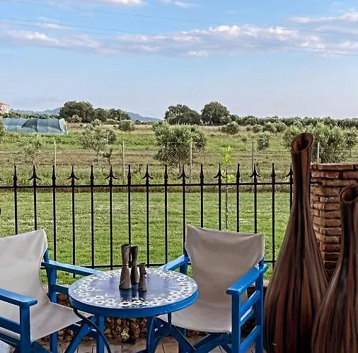 Mama's Sunshine Garden *