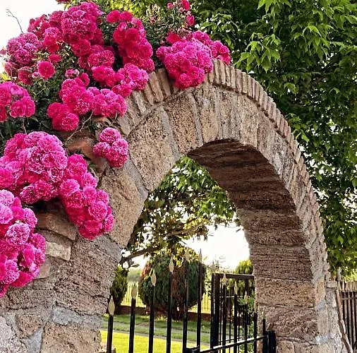 Mama's Sunshine Garden Βίλα *