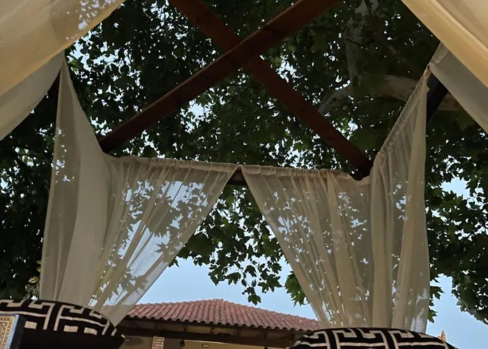 Mama's Sunshine Garden *