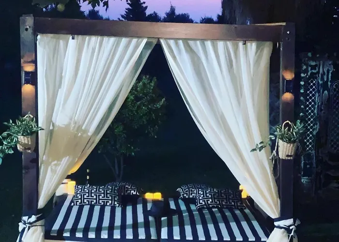 Mama's Sunshine Garden