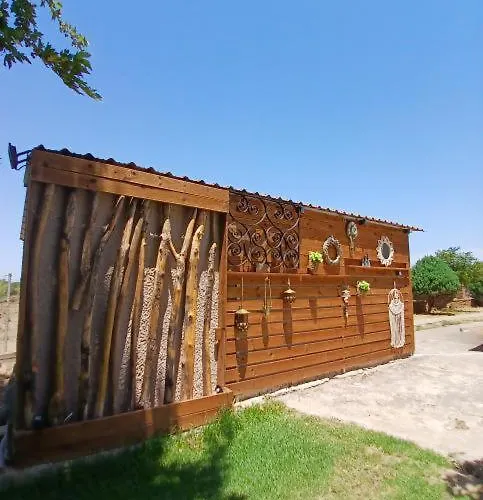 Mama's Sunshine Garden *