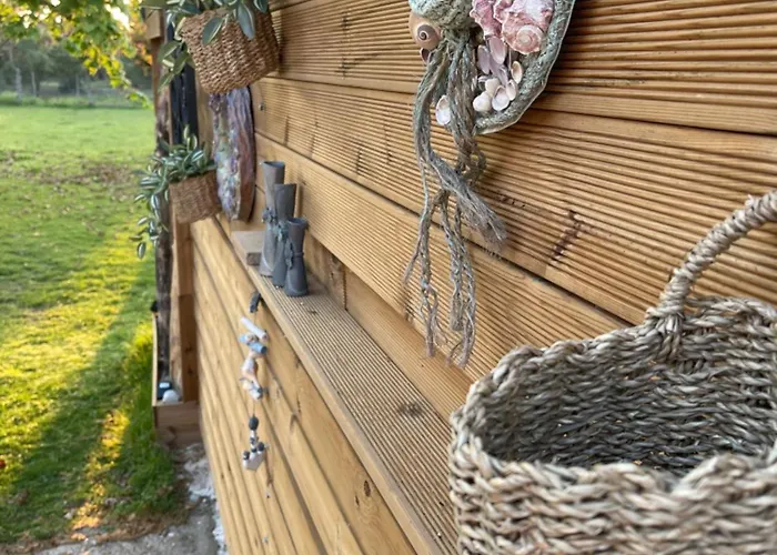 Mama's Sunshine Garden *