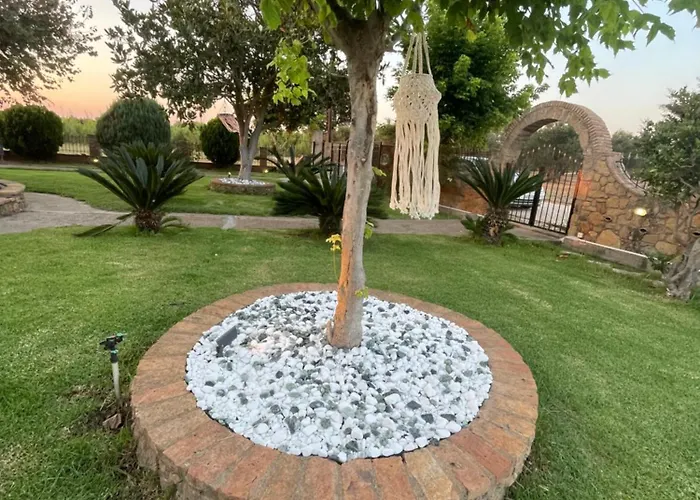 Mama's Sunshine Garden